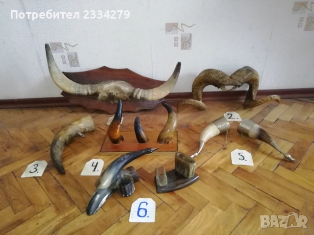 Стари трофейни рога и сувенири изработени от рога, снимка 3 - Антикварни и старинни предмети - 52574037