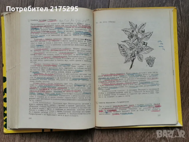Ботаника - Земиздат -Г.Георгиев, 1973г., снимка 10 - Учебници, учебни тетрадки - 56225154