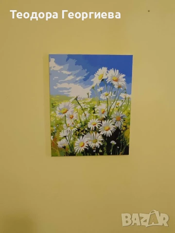 Картини по номера , снимка 2 - Картини - 50648052