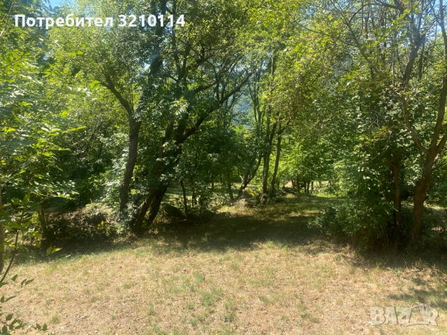 Двуетажна къща с двор в Село Желен, общинa Своге, снимка 9 - Къщи - 51556187