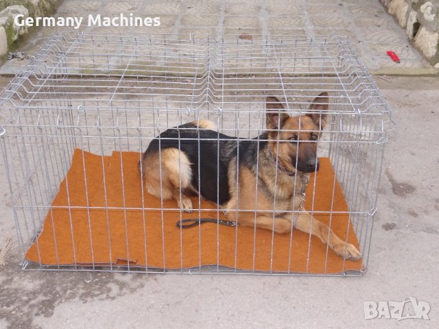 КЛЕТКА 120-80-см, метална, СГЪВАЕМА. Подходяща е за едри по големина породи кучета с тегло