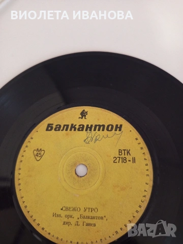 Грамофонни плочи., снимка 12 - Грамофонни плочи - 53707337