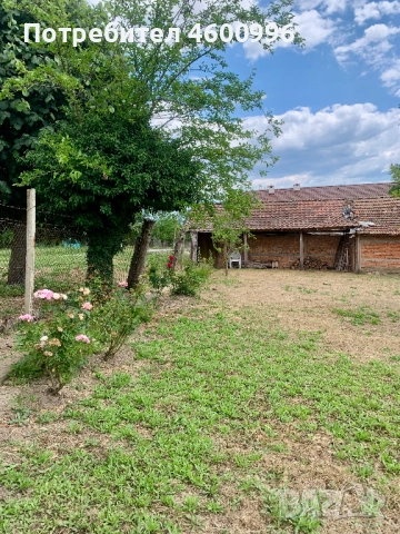 Продавам къща в село Дъбравино, Варненско, с просторен двор – 3 декара, снимка 13 - Къщи - 51788048