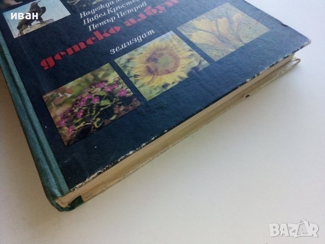 Детско албумче за растения и животни - Н.Меранзова,П.Кръстев, П.Петров - 1971г., снимка 9 - Енциклопедии, справочници - 42241223