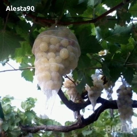 Мрежа срещу оси и птици , снимка 4 - Други - 42053402