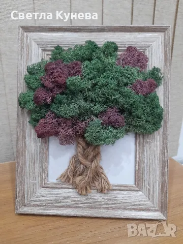 Картина със скандинавски мъх 