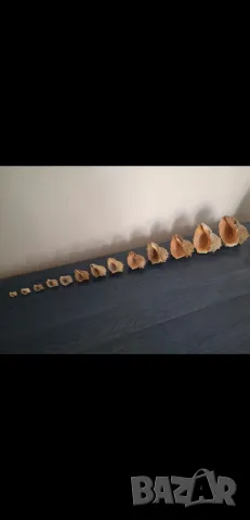 Звук на море, снимка 2 - Други - 48907384