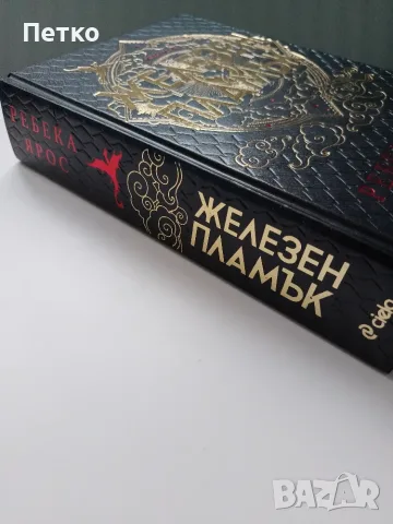 Книга Железен пламък от Ребека Ярос, снимка 4 - Художествена литература - 56188579