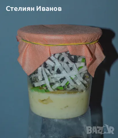 Нелетящи плодови мушици, дрозофили (Drosophila melanogaster 'Wingless' и Drosophila hydei)