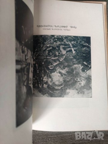 Продавам книга " XVII обща художествена изложба 1943, снимка 7 - Други - 41147044