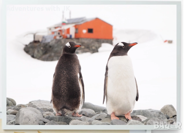 Авторски фотопринт "Ин и Ян 2" в бяла рамка с размер 50х70 см