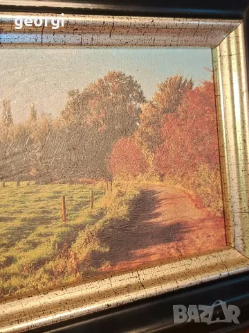 мини картина 3 броя    22/4, снимка 6 - Картини - 49219209