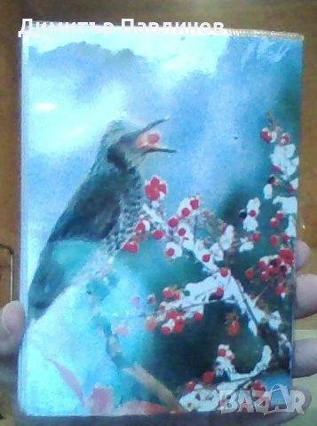 Фотоалбум, снимка 3 - Фотографи - 41415394