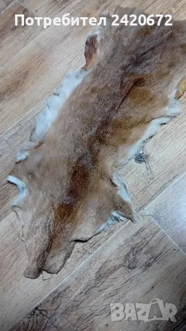 кожа  сърандак, снимка 1