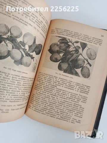 Ръководство по овощарство, снимка 10 - Специализирана литература - 53112978