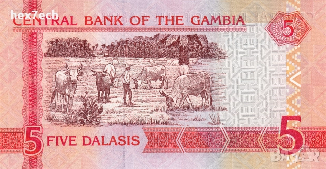 ❤️ ⭐ Гамбия 2006-2014 5 даласи UNC нова ⭐ ❤️, снимка 3 - Нумизматика и бонистика - 52891039