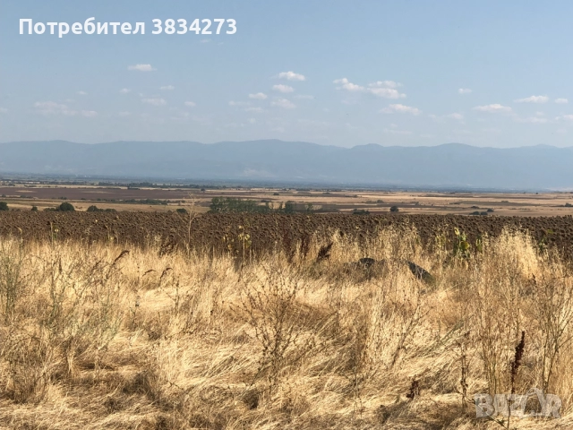 Стара къща с голям двор изгодно продава собственик, село Блатница, обл. Пазарджик, снимка 7 - Къщи - 51703807