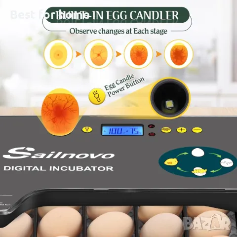 Инкубатор автоматичен Sailnovo 20 яйца, снимка 2 - За селскостопански - 47326759