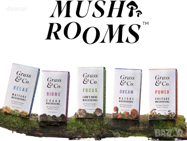 Grass & Co. BIOME - органична гъба чага на прах с куркума и джинджифил,без ГМО, без глутен 46 порции, снимка 7 - Хранителни добавки - 44207596