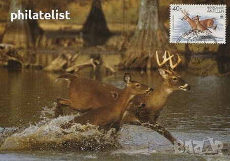 Холандски Антили 1992 - 4 броя Карти Максимум - WWF