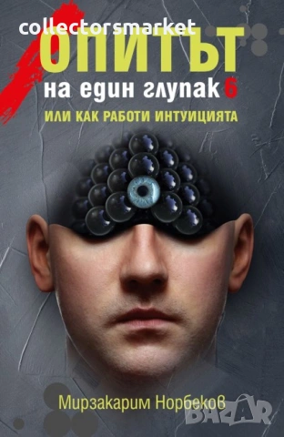 Опитът на един глупак. Книга 6: Или как работи интуицията