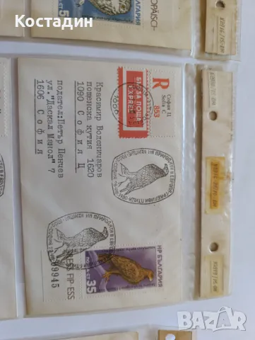 Пощенски пликове България защита на природата на Европа 1980, снимка 4 - Филателия - 48907522