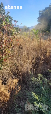 Оране фрезоване и мулчиране на дворове, снимка 12 - Други услуги - 53048896