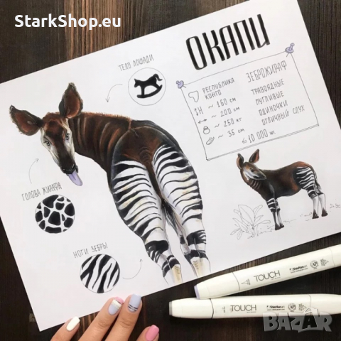 ТОП 36бр/48/60 Комплект маркери Touch маркер флумастери за рисуване, снимка 7 - Ученически пособия, канцеларски материали - 36150886