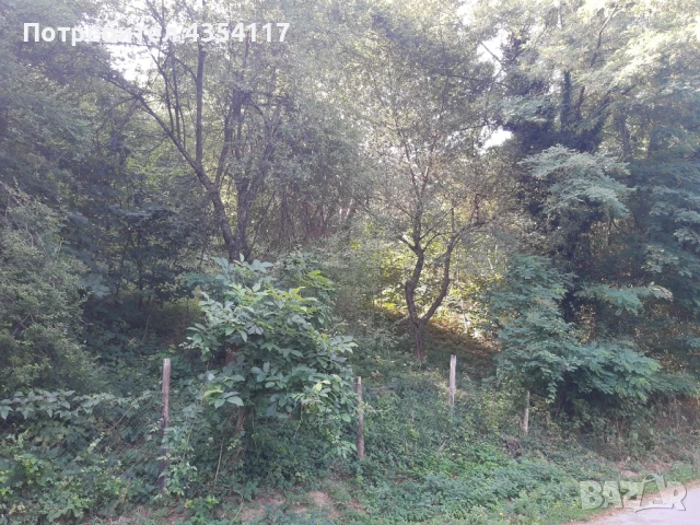 Продавам урегулиран парцел в село Балани, област Габрово, снимка 2 - Парцели - 50905937