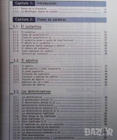 Gramática didáctica del español Leonardo Gómez Torrego, снимка 3 - Чуждоезиково обучение, речници - 36107669