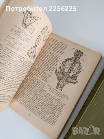 ЛОТ Лозарство, снимка 4 - Специализирана литература - 53456687