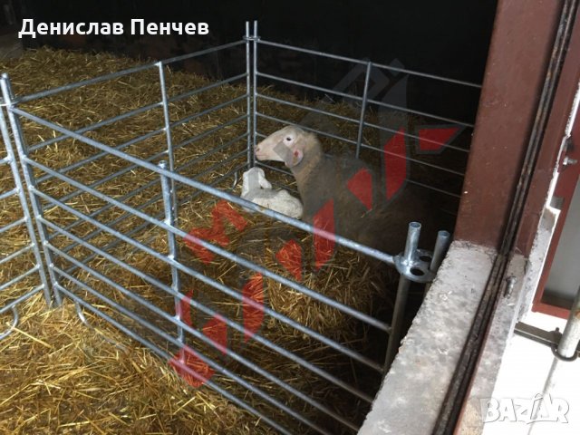 Прегради за овце и кози, снимка 5 - За селскостопански - 34655271