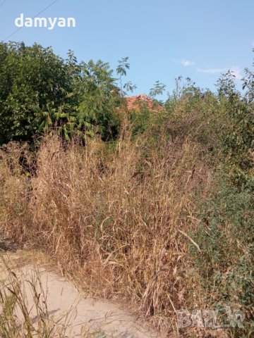 Къща в с.Софрониево