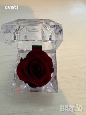 Вечна роза в кристална кутия , снимка 3 - Градински цветя и растения - 48969850