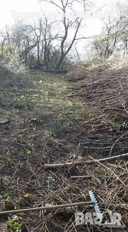 косене на трева, рязане(кастрене) на дървета,почистване на терени, снимка 9 - Други почистващи услуги - 53015352