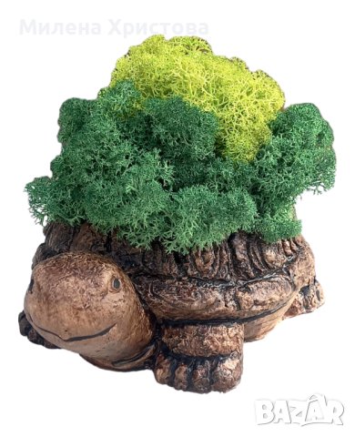 Кашпи "Костенурка" със скандинавски мъх , снимка 2 - Декорация за дома - 42576650