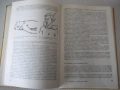 Книга"Р-во за практ.упражн.по пропедевтика.-А.Атанасов"-204с, снимка 2