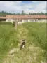 Продавам къща с Белица общ Трявна, снимка 16