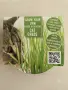 Прясна котешка трева (Cat Grass Growset), снимка 1
