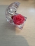 Вечна роза в кристална кутия , снимка 7
