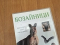 БОЗАЙНИЦИ ДВД 0212251506, снимка 8