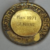 норвежки сребърен медал с позлата , снимка 7 - Антикварни и старинни предмети - 42119765