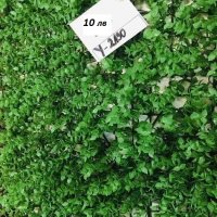 Изкуствена трева пано 60х40см модели, снимка 7 - Пана - 22904178