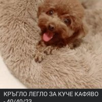 Кучешки Легла🐾, снимка 6 - За кучета - 44144107