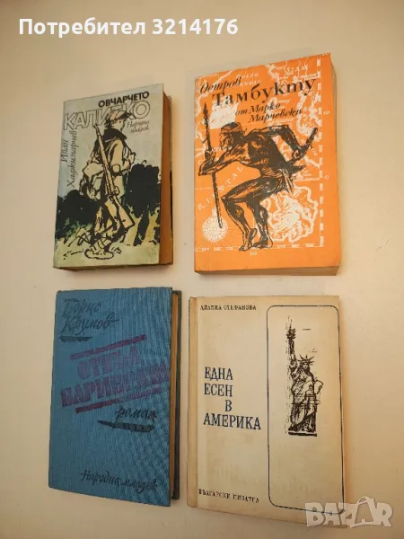 Една есен в Америка - Лиляна Стефанова, снимка 1