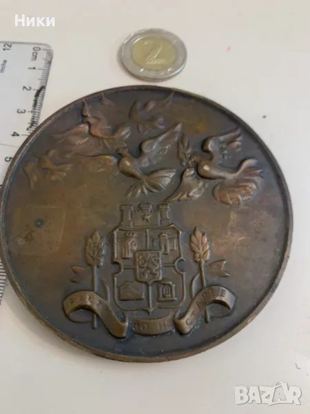 Бронзово Пано , снимка 1