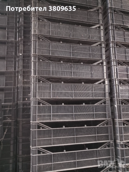 Касетки за гъби, снимка 1