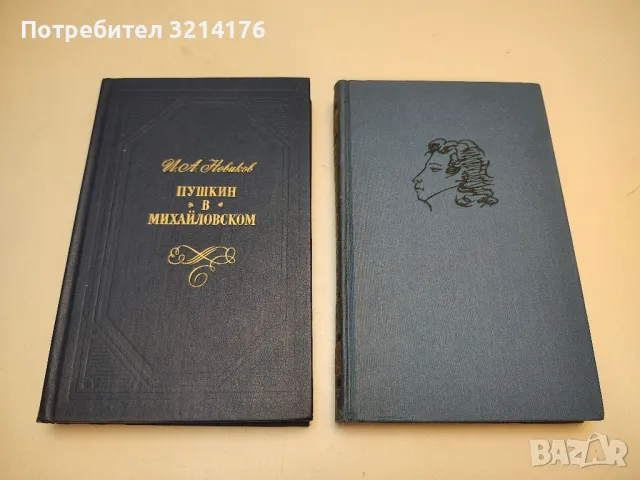 Медный всадник - А. С. Пушкин (1975), снимка 3 - Художествена литература - 50363168