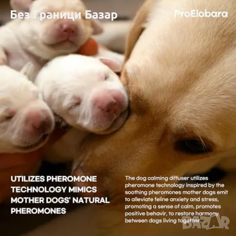 Нов Феромонен дифузер за успокояване на кучета - 60 дни действие, снимка 3 - За кучета - 48535548