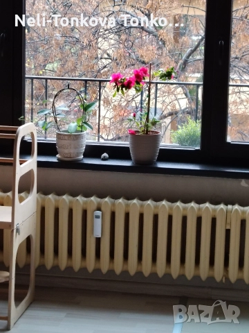 Почистване с Рейнбоу 20%Отстъпка за Декември, снимка 10 - Почистване на домове - 52656219